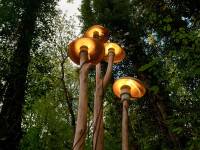 fungi-01a