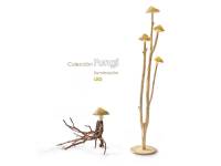 fungi-coleccin-2