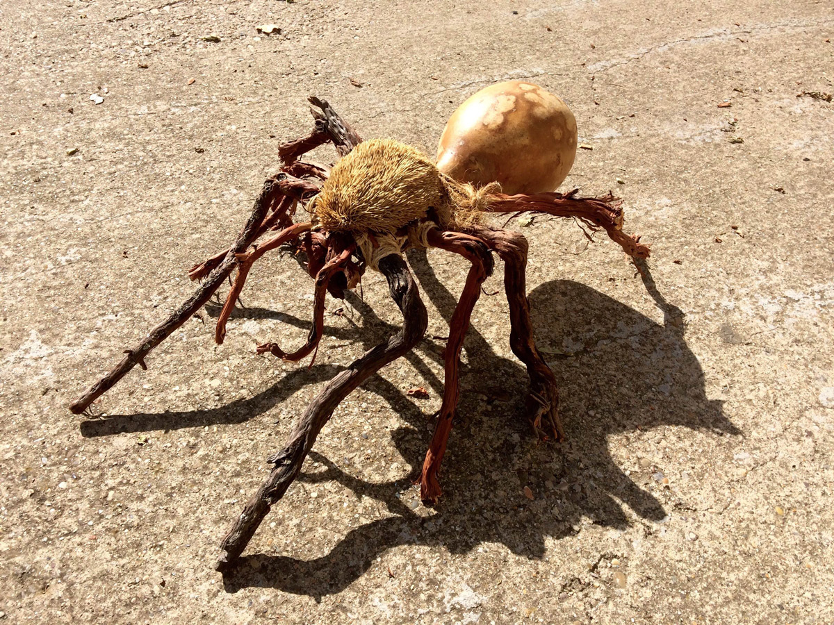 Martín Montiel de 1º de Producto premiado en transformARTE