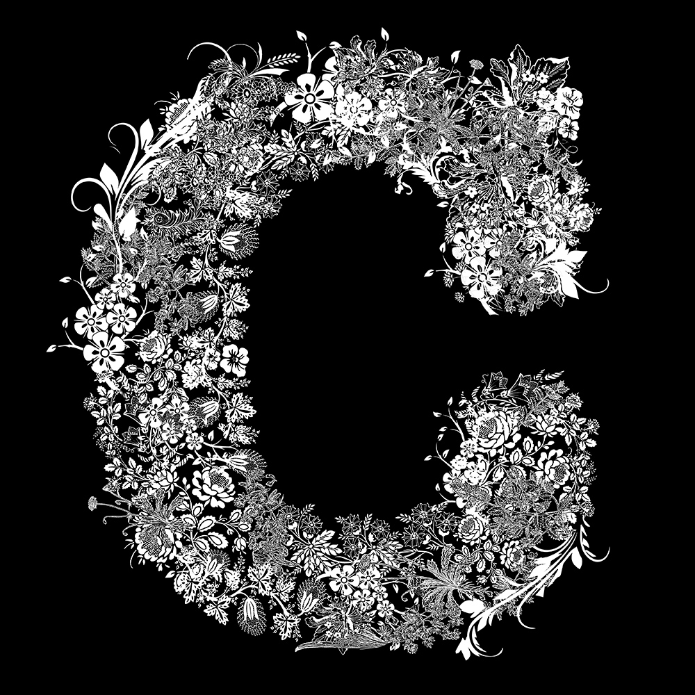 American Typewriter en la ESDIR