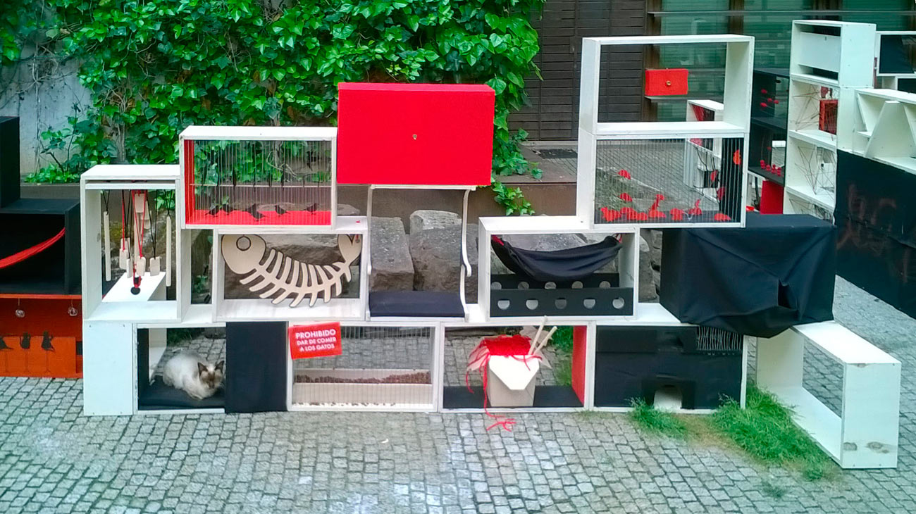 La Esdir en Concéntrico