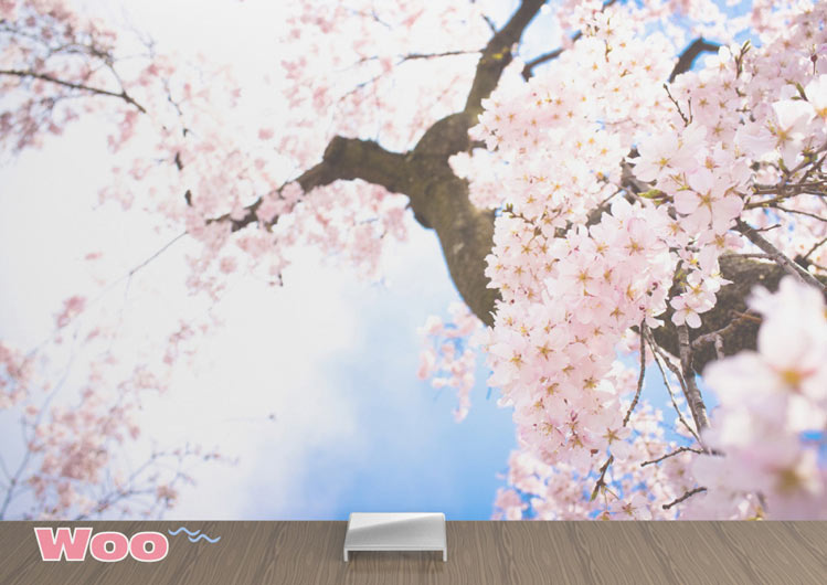 ZONGWEN YUAN, DE DISEÑO DE PRODUCTO, ENTRE LOS TOP 70 DE ELECTROLUX