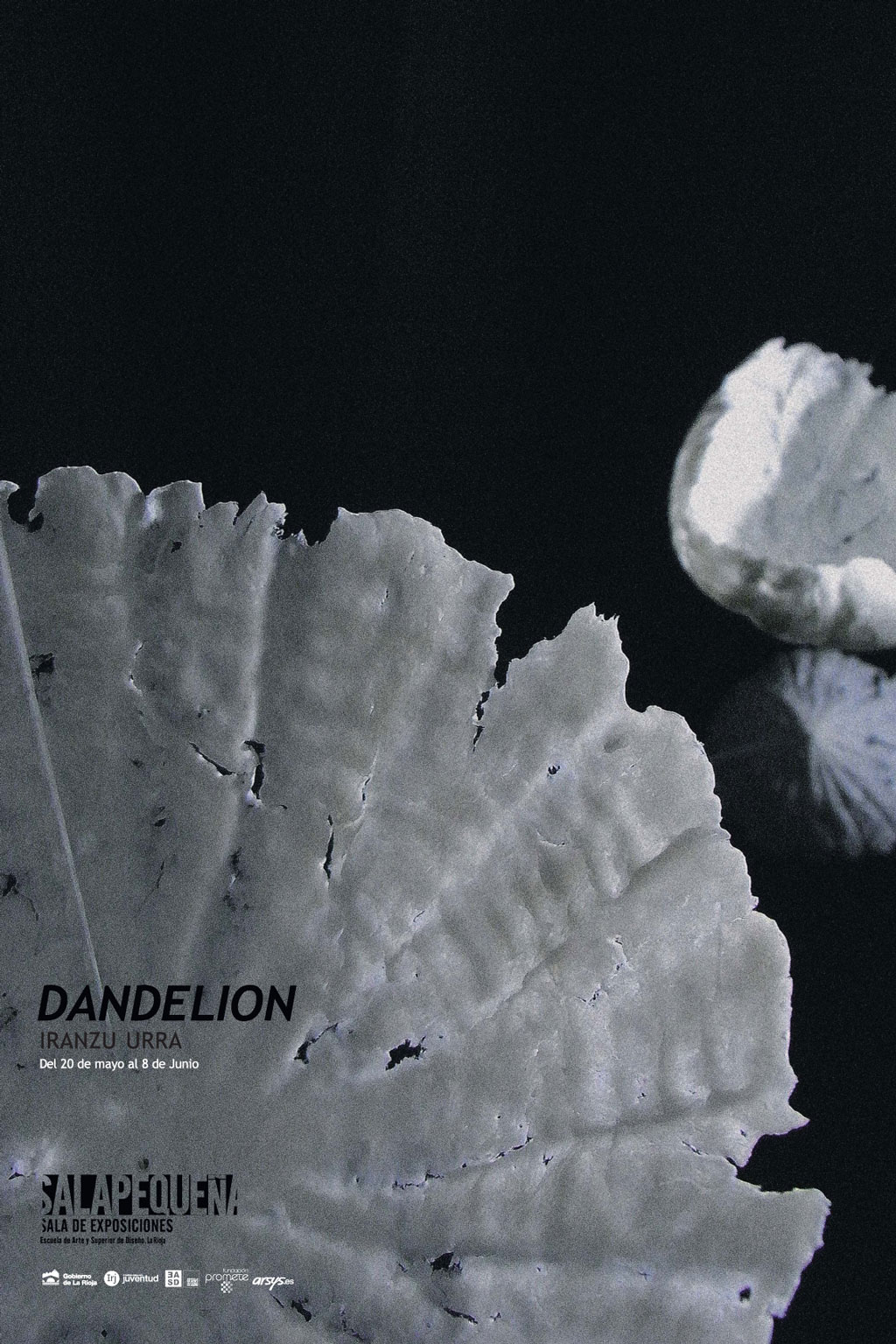 Dandelion. Iranzu Urra. Ciclo SALAPEQUEÑA.