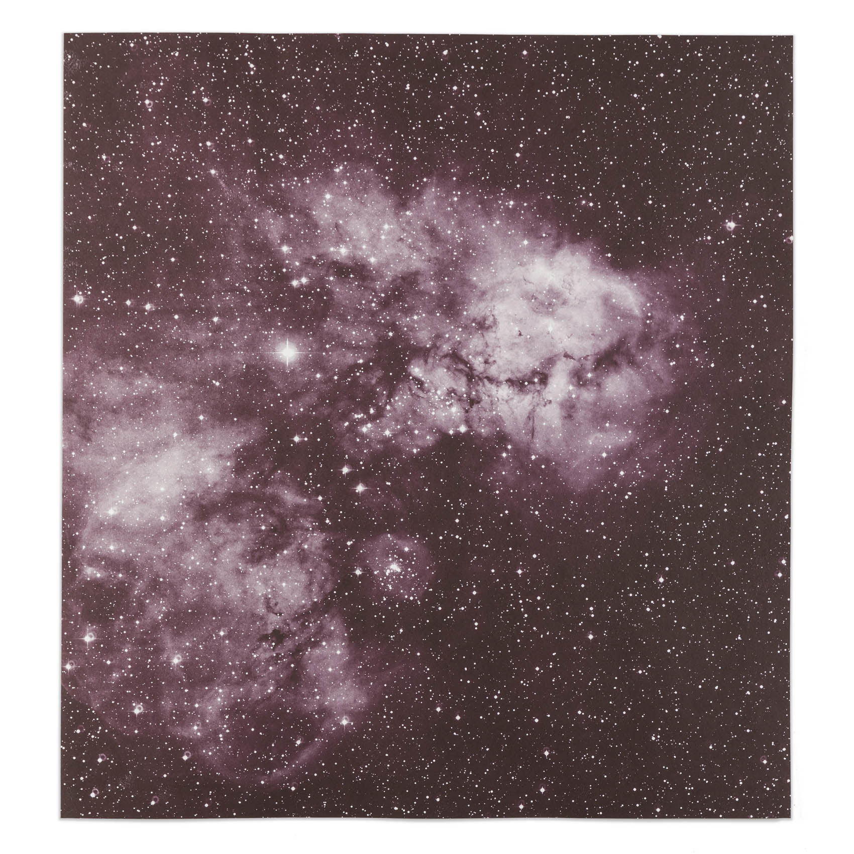 Palmarés del XI Premio de Grabado y Vino Pedro Vivanco