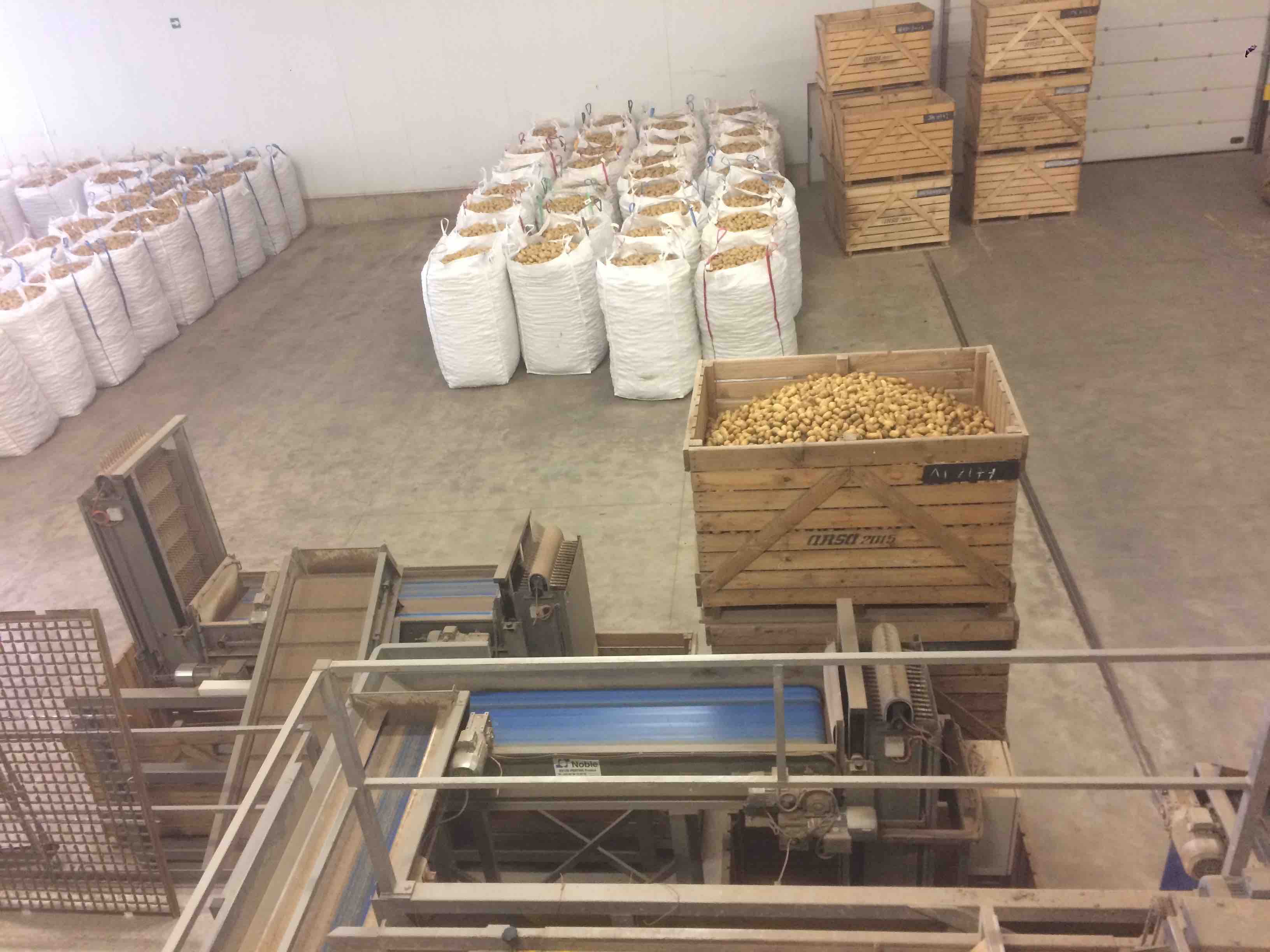 Visita a Almacenes Rubio