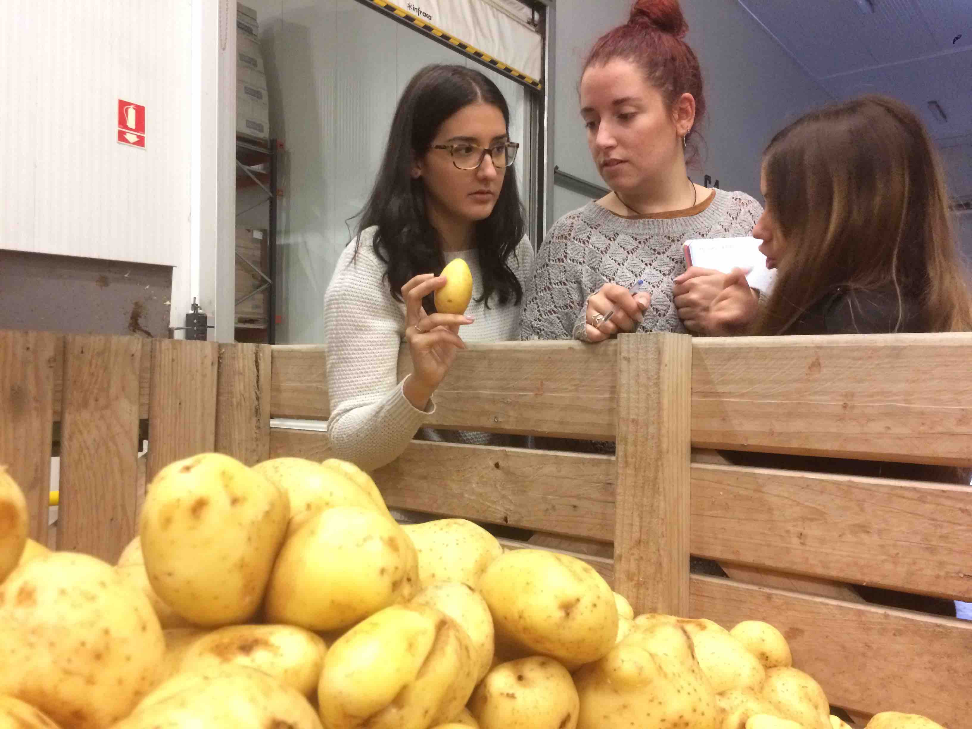 Visita a Almacenes Rubio