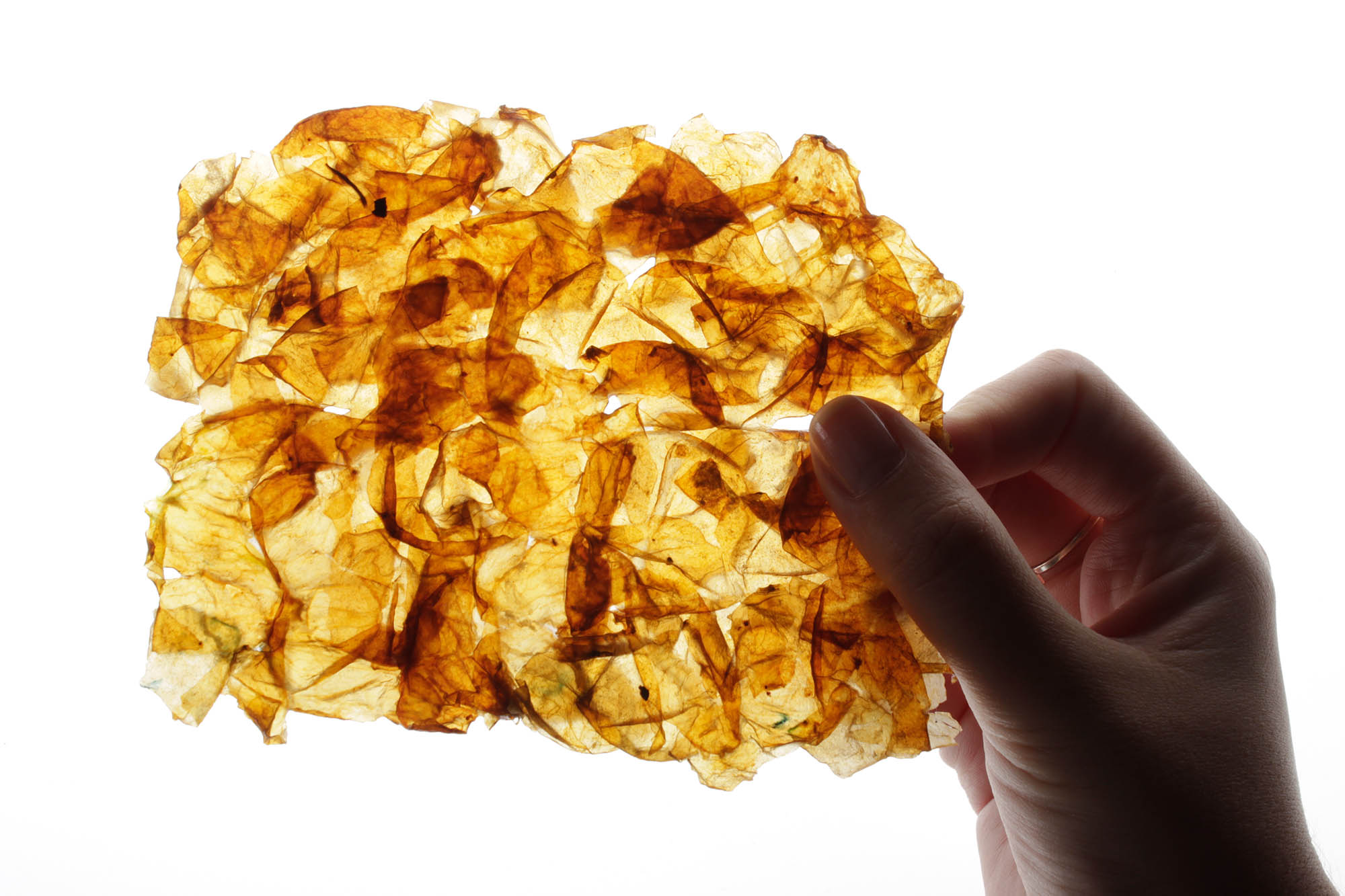 Crónica de la Project Week 9.