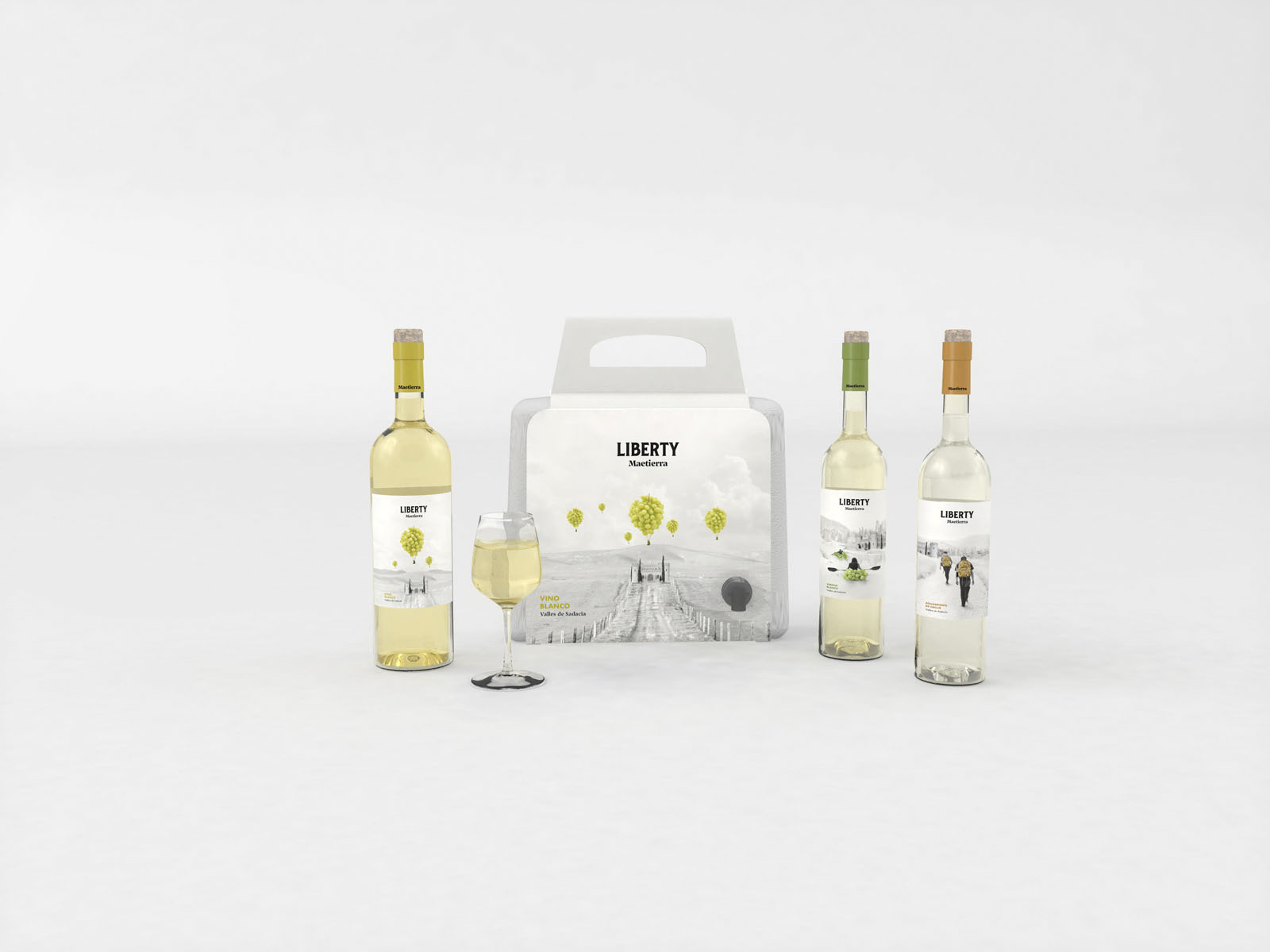 Presentación del primer proyecto de la asignatura de Diseño Integral de Packaging para la Industria Vitivinícola.