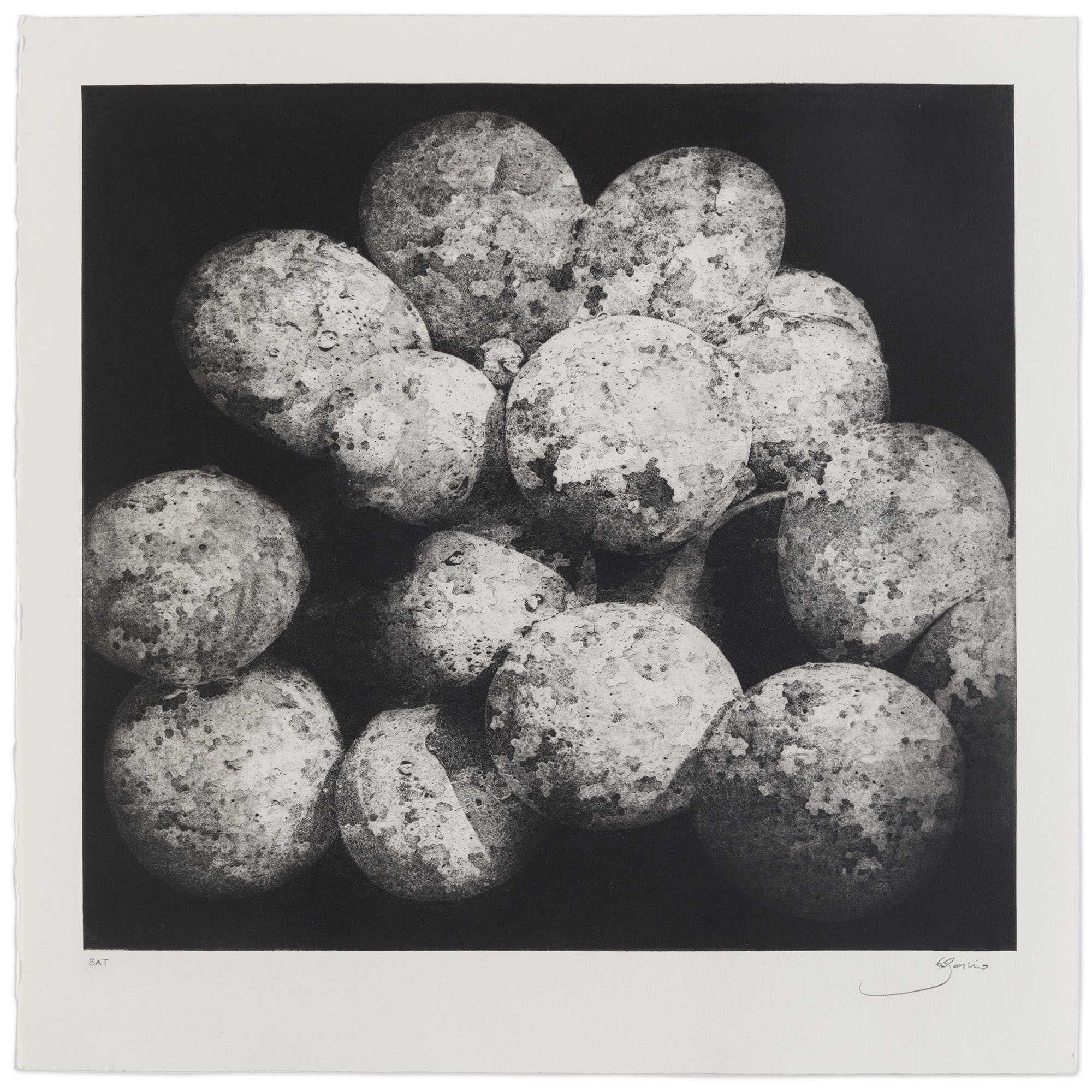 Palmarés del XII Premio de Grabado y Vino Pedro Vivanco