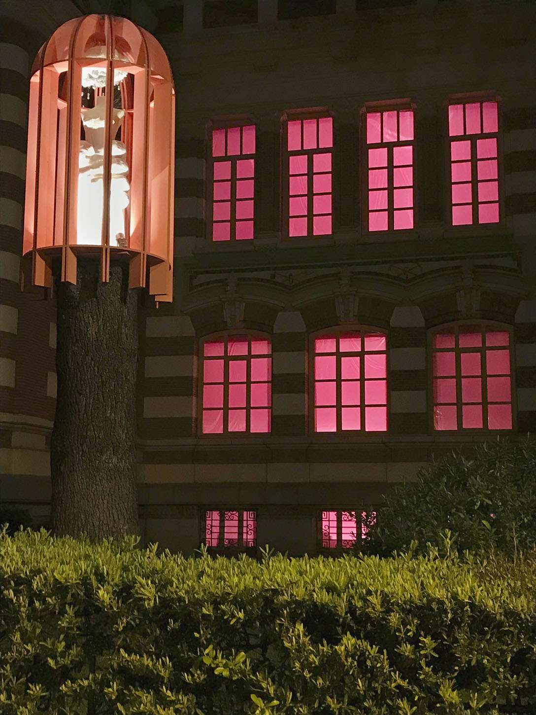 La Esdir en Concéntrico 05