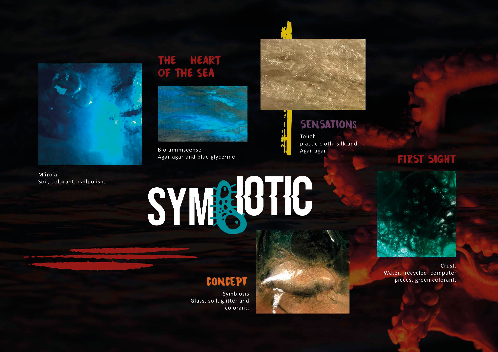 Finalistas de la Esdir en la 8th Maier Design Competition