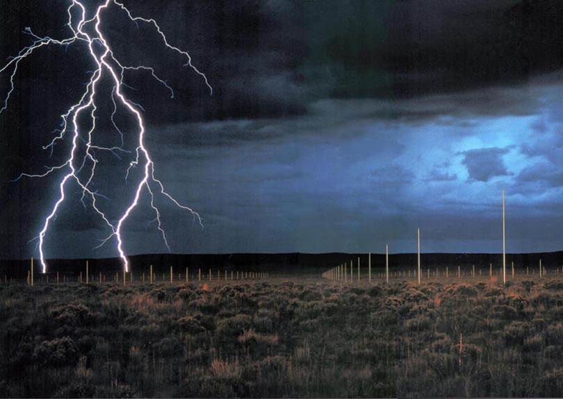 Asignaturas Optativas